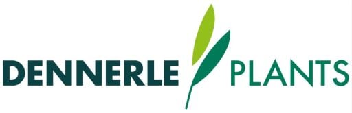 DENNERLE PLANTS